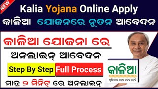 Kalia Yojana Online Apply 2024  Kalia Yojana Online Registration  Kallia Yojana New Apply [upl. by Schapira800]