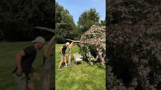 Man Turns Fallen Tree Into Magic shortsvideo [upl. by Retrac]