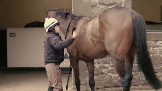 Perth Racecourse chats to Scottish Trainer Nick Alexander [upl. by Ecyaj]