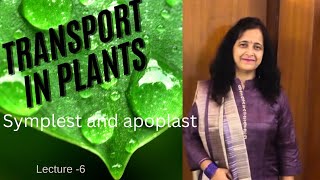 Symplast and Apoplast  Transport in Plants  Biology Ocean [upl. by Nahtan130]