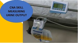 PROMETRIC CLINICAL SKILL MEASURING URINARY OUTPUT FROM CATHETER BAG 2022 [upl. by Nalniuq]