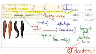 ClassHirudinea of Annelida Ilacks parapodia and setae  IIincludes leeches which lead [upl. by Berkley]