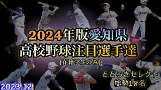 【高校野球】2024年愛知県注目選手達を18人紹介！ [upl. by Follmer865]