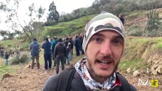 PilloleDalCorso di coltivazione e potatura dellolivo 1617 mar 2019  Intervista ad Alessandro [upl. by Kreit]