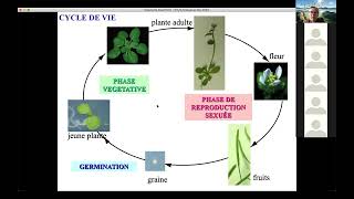 Cours Physiologie vegetale [upl. by Eyssej]