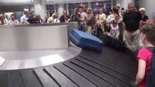 Kiev Borispol Airport Terminal D Baggage carousel [upl. by Aslam]