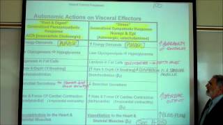 AUTONOMIC NERVOUS SYSTEM PART 2 by Professor Finkwmv [upl. by Rozanne]