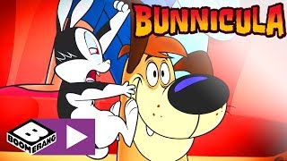 Bunnicula  Unsichtbarer Bunnicula  Cartoonito [upl. by Amary988]