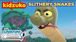 The Creature Cases  Slithery Snakes 🐍  World Snake Day  Compilation  KidzukoSony [upl. by Niloc]