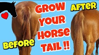 How to get a More BEAUTIFUL Horse Tail Horse Tail Care [upl. by Ordnasil]