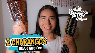 2 Charangos Una Canción  FLOR DE HUANCAYO [upl. by Aikim131]