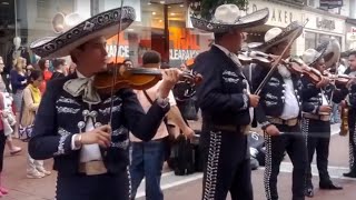 Cool Mariachi Band Performance in Dublin [upl. by Oakie]