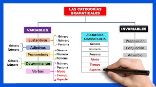 LAS PALABRAS VARIABLES E INVARIABLES [upl. by Candless]