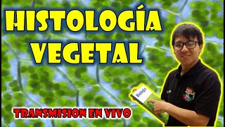 🎯EN VIVO🖍️ Histologia Vegetal [upl. by Rehpinnej444]