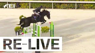 RELIVE  Competition N°5  FEI WCHAS Final 120cm I FEI Jumping World Challenge Final [upl. by Turnheim]