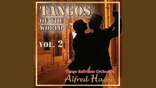 Hernandos Hideaway Tango New Recording [upl. by Anaderol]