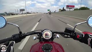 Rabid Hedgehog and the Indian Scout Family Sixty to Bobber [upl. by Malliw820]