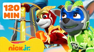 Ryder Calls PAW Patrol Pups to the Lookout Tower 4 w Chase  90 Minute Compilation  Nick Jr [upl. by Marlena115]