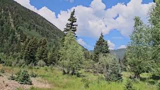 Gorgeous Mountain Ranch for sale in Jasper CO 53 riverfront acres with home and water rights [upl. by Leribag]