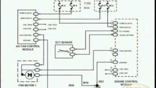 Cooling Fans amp Wiring Diagram [upl. by Nitsugua]