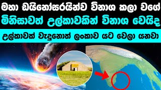 ඩයිනෝසරයින් වගේ දැවැන්ත උල්කාවකින් අපිත් විනාශ වෙයිද  Could Humans Survive dino killer Asteroid [upl. by Nojram]