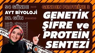 39 Genetik Şifre ve Protein Sentezi  Genden Proteine  12 Sınıf  2024 AYT Biyoloji Kampı 39 Gün [upl. by Longan267]