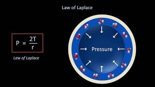 Surface Tension and Surfactant Fluid Mechanics  Lesson 12 [upl. by Neelyaj134]