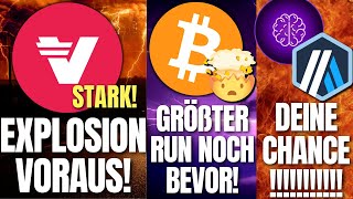 ⚠️VERASITY DER WAHNSINN BITCOIN PANIK DIESER ALTCOIN BIETET EINMALIGE CHANCEN [upl. by Seuqirdor199]