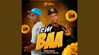 TEM BAA feat DJ Vado Poster [upl. by Rinna162]