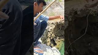 மண்புழு வைத்து மீன் பிடித்தல்  fising Catching fish in the well 🐟 [upl. by Lareena]