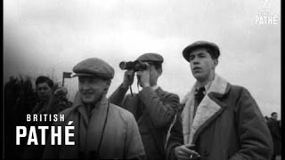 Queen At The Races 1953 [upl. by Fortune]