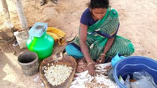 Cashew nut Processing  Cashew nut  Roasting Cashew nut  Cashew nut Processing india [upl. by Aidualc]