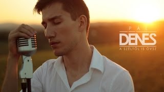 Pál Dénes  A széltől is óvsz Official Video [upl. by Aremmat]