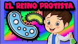 El reino protista 🦠🧫🌿 [upl. by Goer]