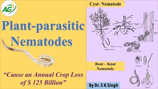 Plant parasitic Nematodes [upl. by Aleik]