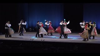 Hungarian folk dance Hortobágyi amp Kalotasztegi táncok [upl. by Flodnar933]