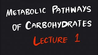 Metabolic Pathways of Carbohydrates  Lecture 1 Organic Chemistry II [upl. by Satsoc]