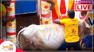 Alanganallur Jallikattu 2018  LIVE  Part 2 [upl. by Mailli]