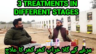 Murga k Gala Kharab Zukam Khar Khar ka ilaj  Aseel Treatment 2022 [upl. by Aiela679]