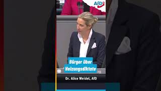 Endgültige Abrechnung mit der Ampel weidel scholz habeck baerbock lindner afd bundestag [upl. by Stefanie]