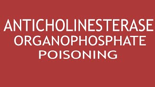 Anticholinesterase organophosphate poisoning by Dr Shikha Parmar [upl. by Arraeis787]