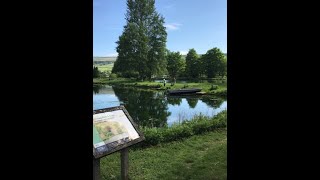 A Warm and Weedy Day at Kilnsey Park [upl. by Notsreik600]