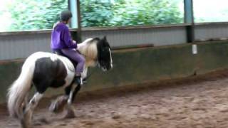 Cantering on my first lesson [upl. by Anale]