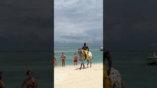 African giant spotted at beach 🏝️😱😳 abba travel motivation beach love shorts [upl. by Arica837]