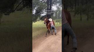 ✨✨✨cowgirls wrangler horseranch coltstarting western [upl. by Megen]