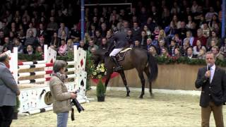 Campitello 2011 by Cador  Quick Star Stallion Show Sosath 2014 [upl. by Aimo40]