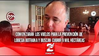 Comenzaran los vuelos para la prevención de lobesia botrana y buscan cubrir 9 mil hectáreas [upl. by Lenuahs]