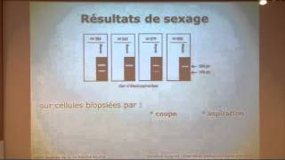 F Guignot  JRE Journée de la recherche équine 2013  Gestations après transfert d’embryons équins [upl. by Fairleigh]