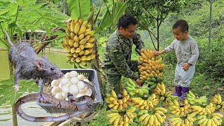 Snakes and rats eat duck egg nests harvest bananas and transport bricks [upl. by Meeharbi427]