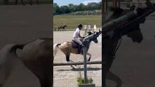 Ozoir jour 1 dans les 5 ans cso cheval equitation horse cavalier [upl. by Smalley841]